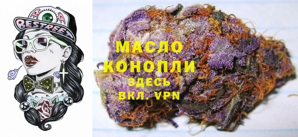 гашик Осинники